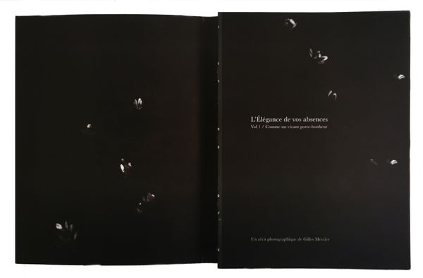 Image from a project on PhMuseum