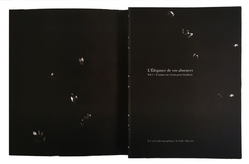 Image from a project on PhMuseum