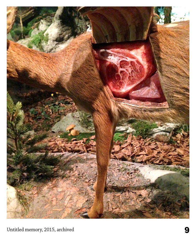 © Christiane Peschek - Image from the THE FEAR THEORIES photography project