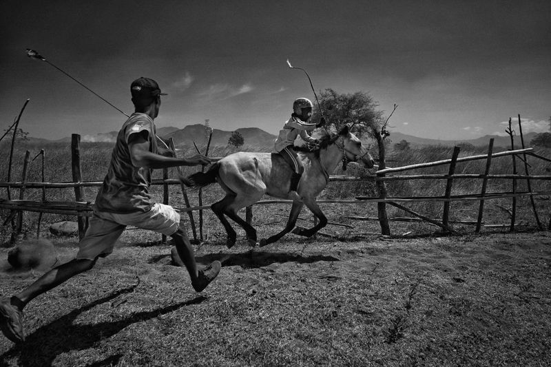 © Alain Schroeder - Indonesia, Sumbawa Island, Moyo, In an unsual twist, a trainer also whips the horse as his jockey passes by.