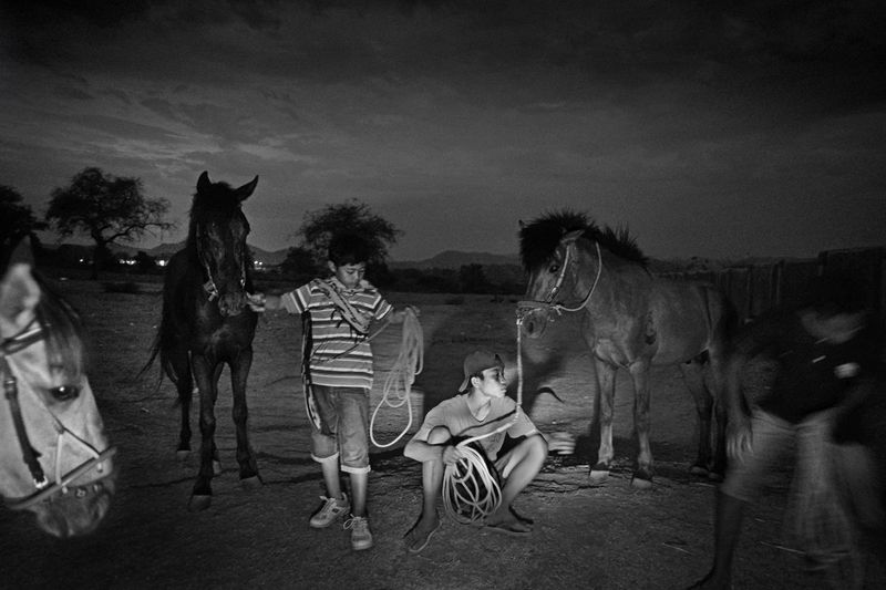 © Alain Schroeder - Indonesia, Sumbawa Island, Moyo, Hands waiting for the trucks to take the horses home after a day of racing.