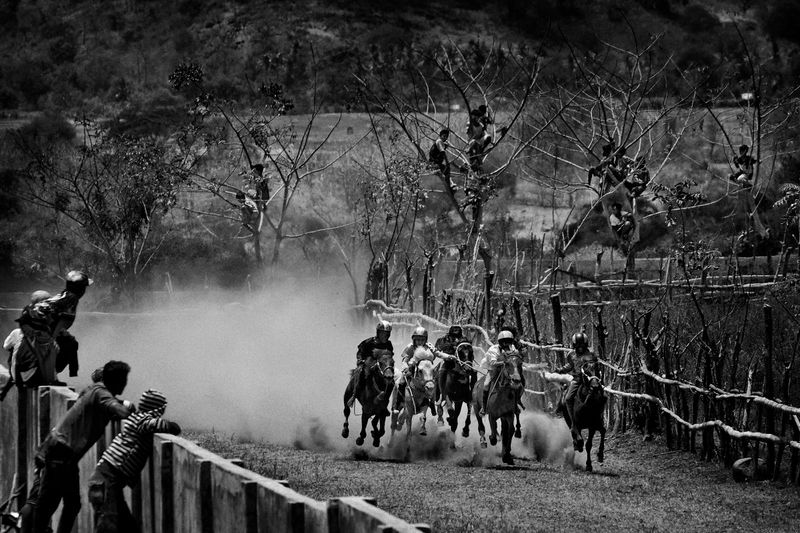© Alain Schroeder - Indonesia, Sumbawa Island, Moyo, People climb into the trees along the track for a good view of the race.