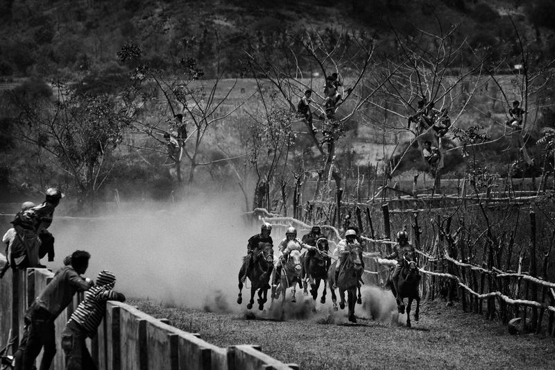 © Alain Schroeder - Indonesia, Sumbawa Island, Moyo, People climb into the trees along the track for a good view of the race.