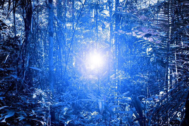 © Fabian Albertini - Image from the X photography project