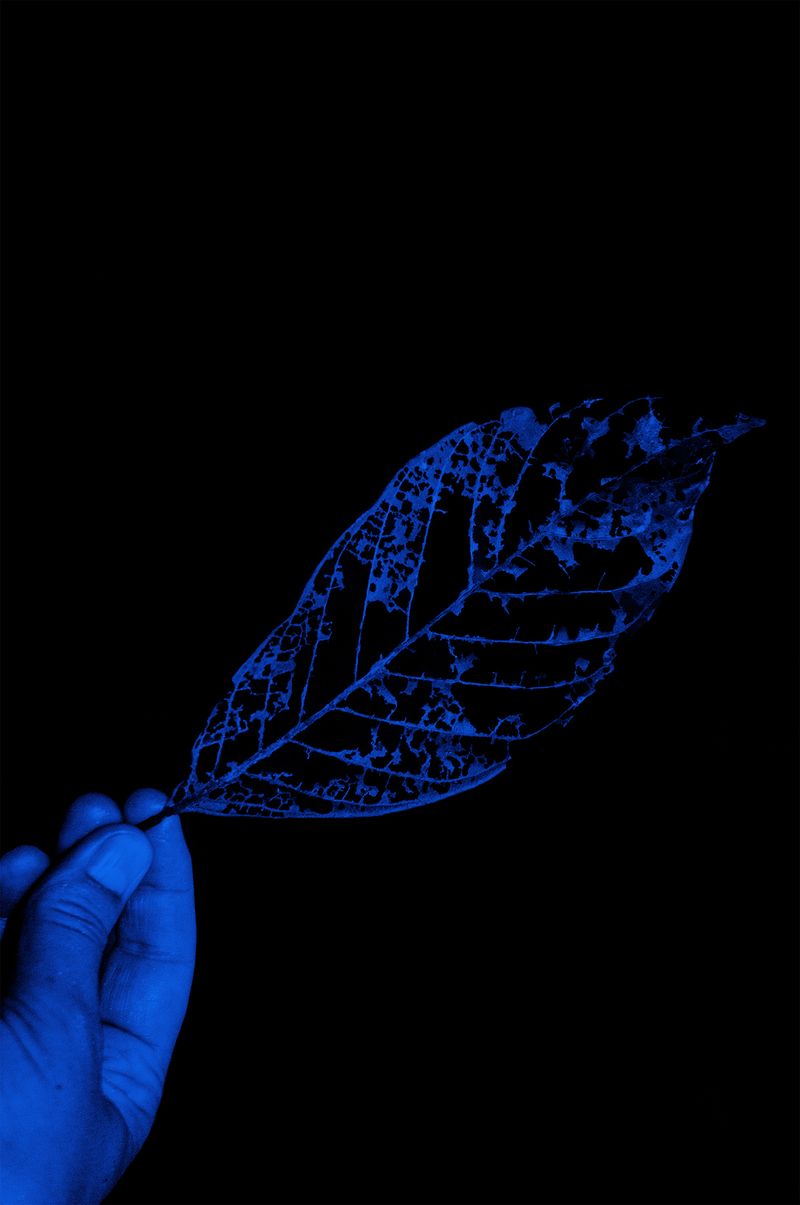 © Fabian Albertini - Image from the X photography project