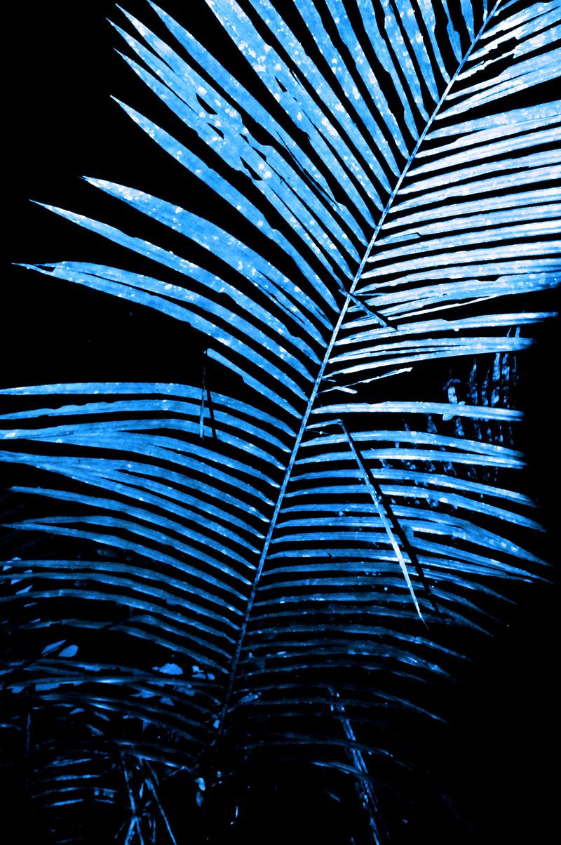 © Fabian Albertini - Image from the X photography project