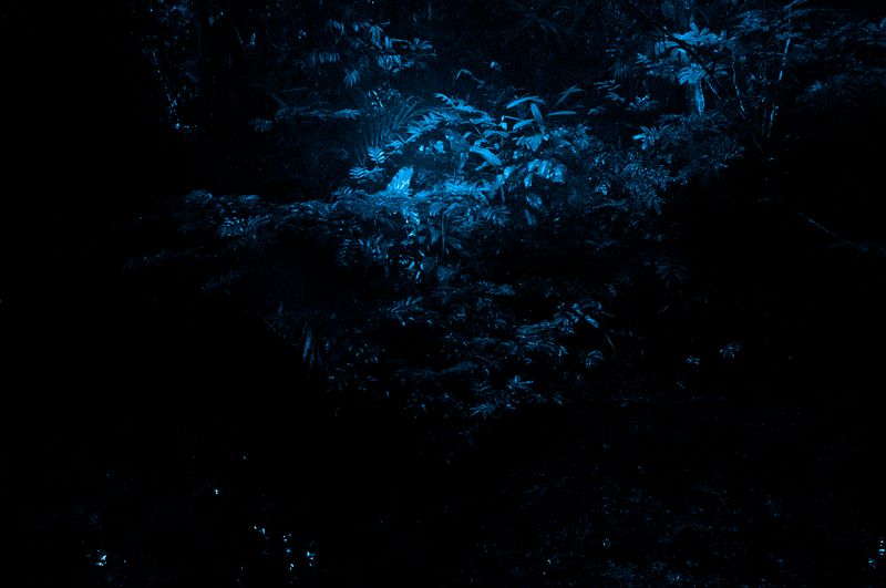 © Fabian Albertini - Image from the X photography project