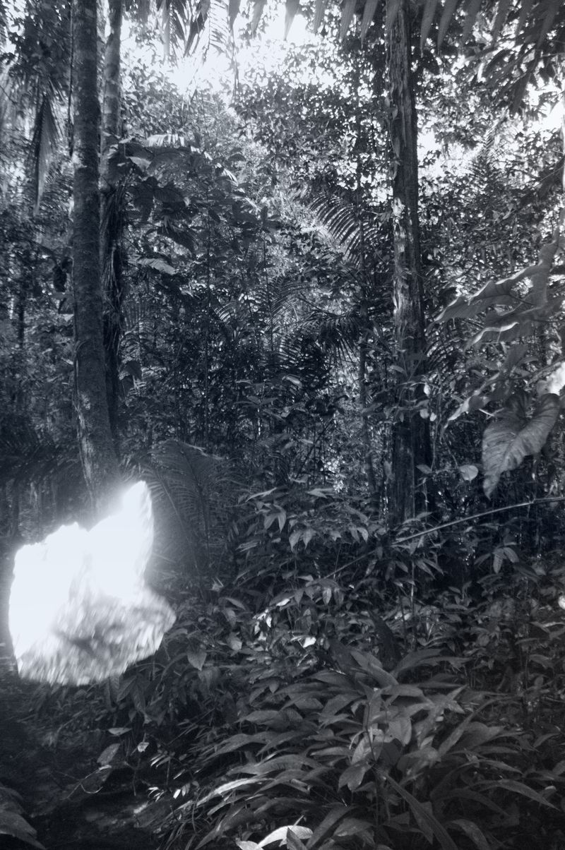 © Fabian Albertini - Image from the Pindorama photography project