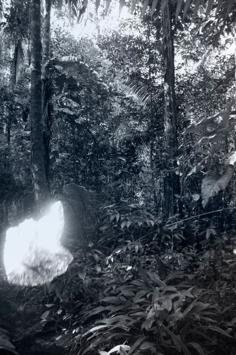 © Fabian Albertini - Image from the Pindorama photography project