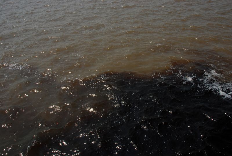 © Fabian Albertini - Image from the Pindorama photography project