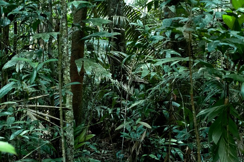 © Fabian Albertini - Image from the Pindorama photography project