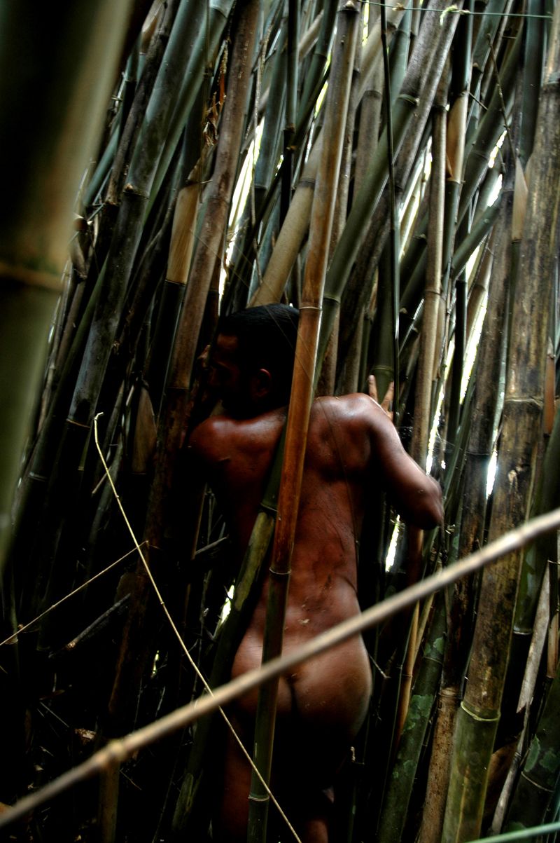 © Fabian Albertini - Image from the Pindorama photography project