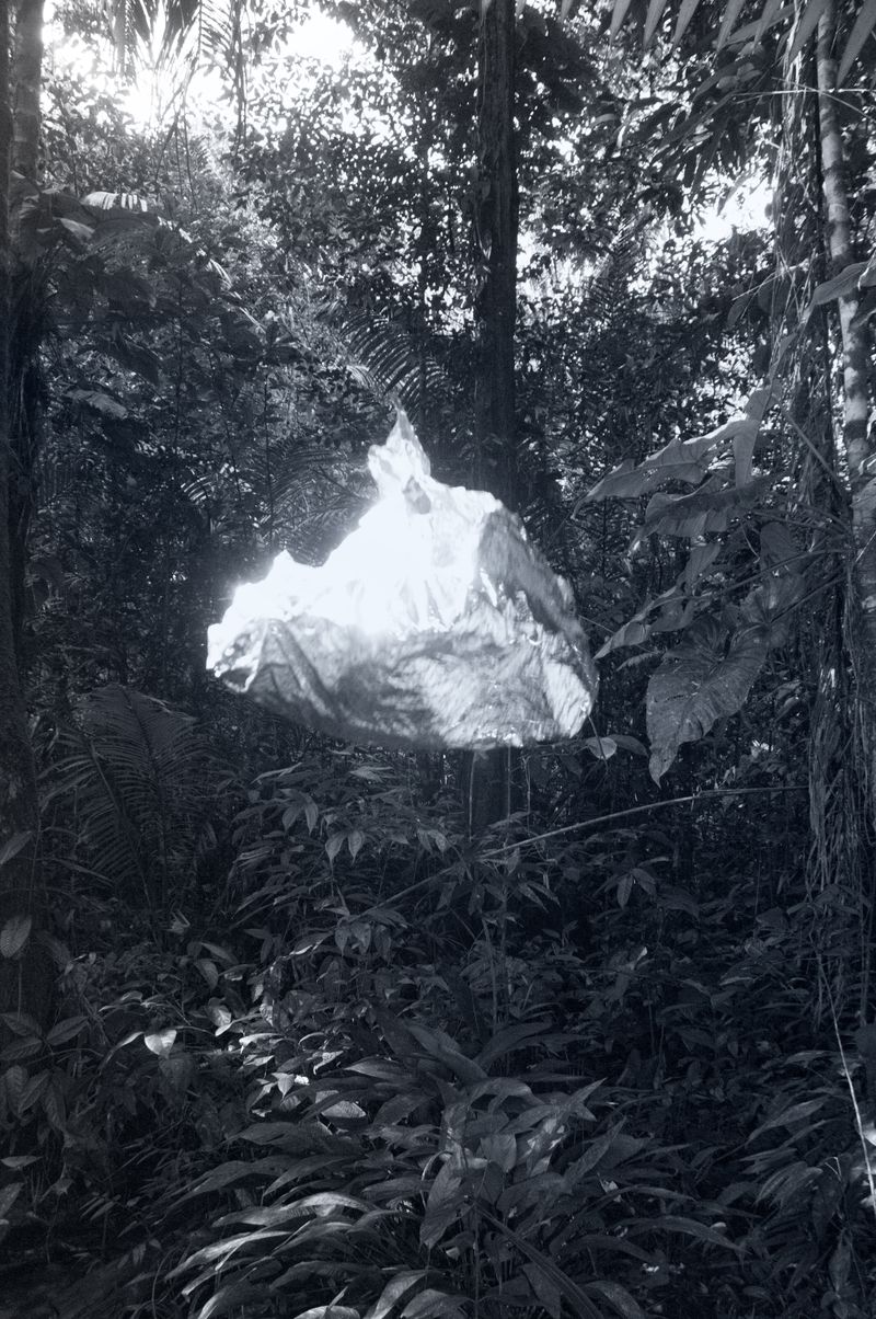 © Fabian Albertini - Image from the Pindorama photography project