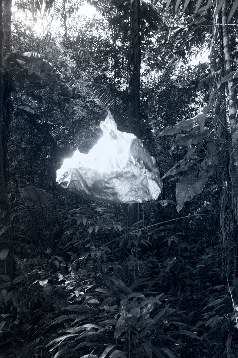 © Fabian Albertini - Image from the Pindorama photography project