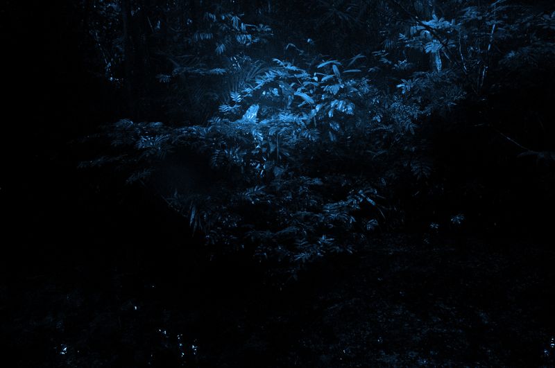 © Fabian Albertini - Image from the Pindorama photography project