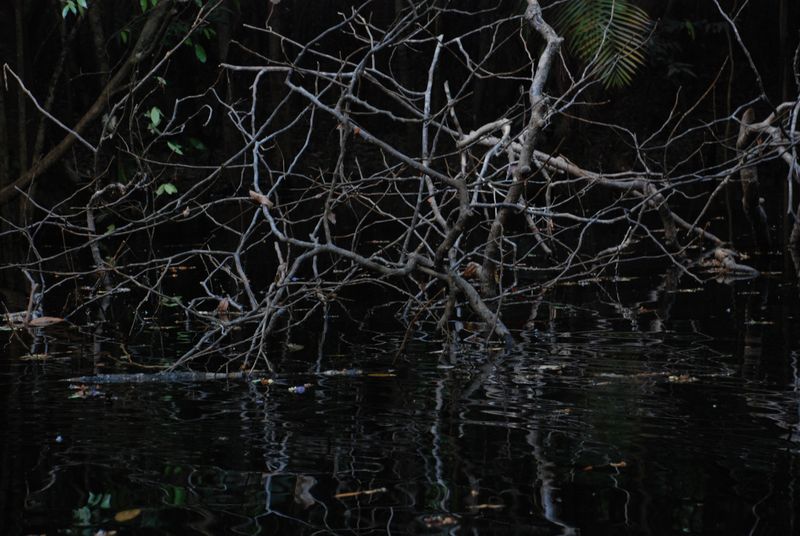 © Fabian Albertini - Image from the Pindorama photography project