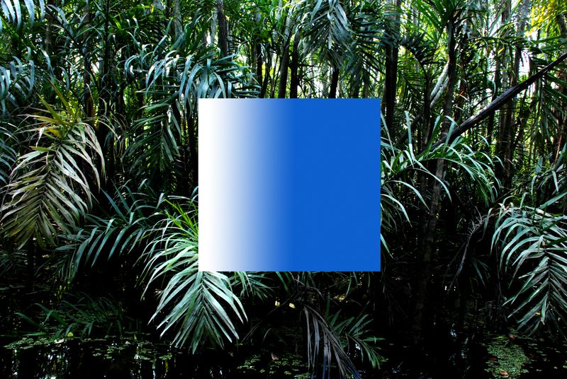 © Fabian Albertini - Image from the Pindorama photography project