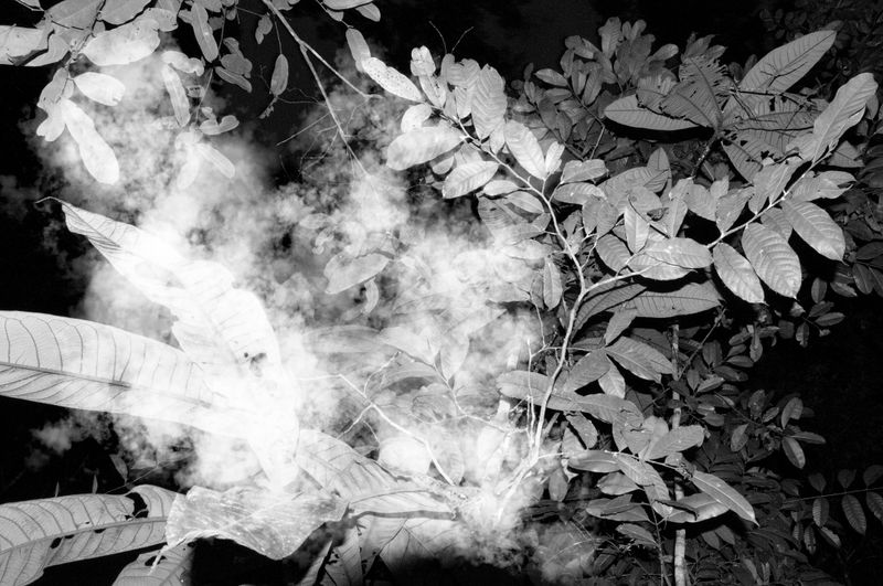 © Fabian Albertini - Image from the Pindorama photography project