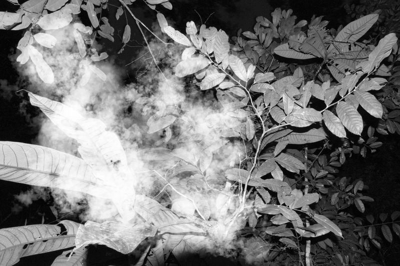 © Fabian Albertini - Image from the Pindorama photography project