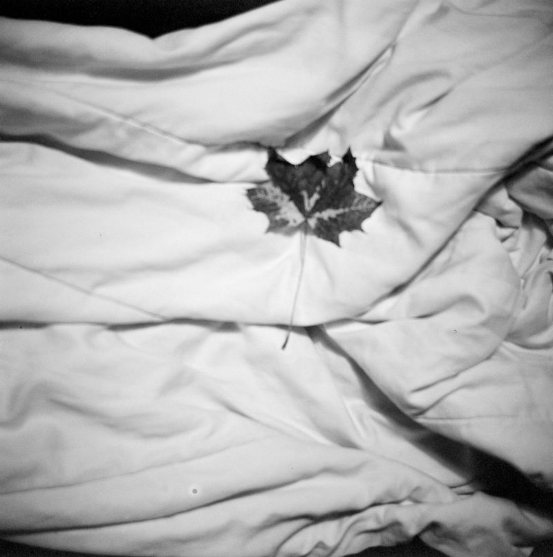 © Laura Hospes - Acceptance