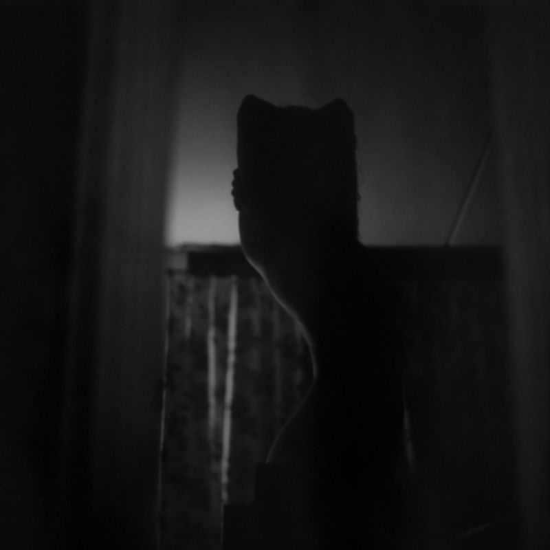 © Laura Hospes - Rediscover