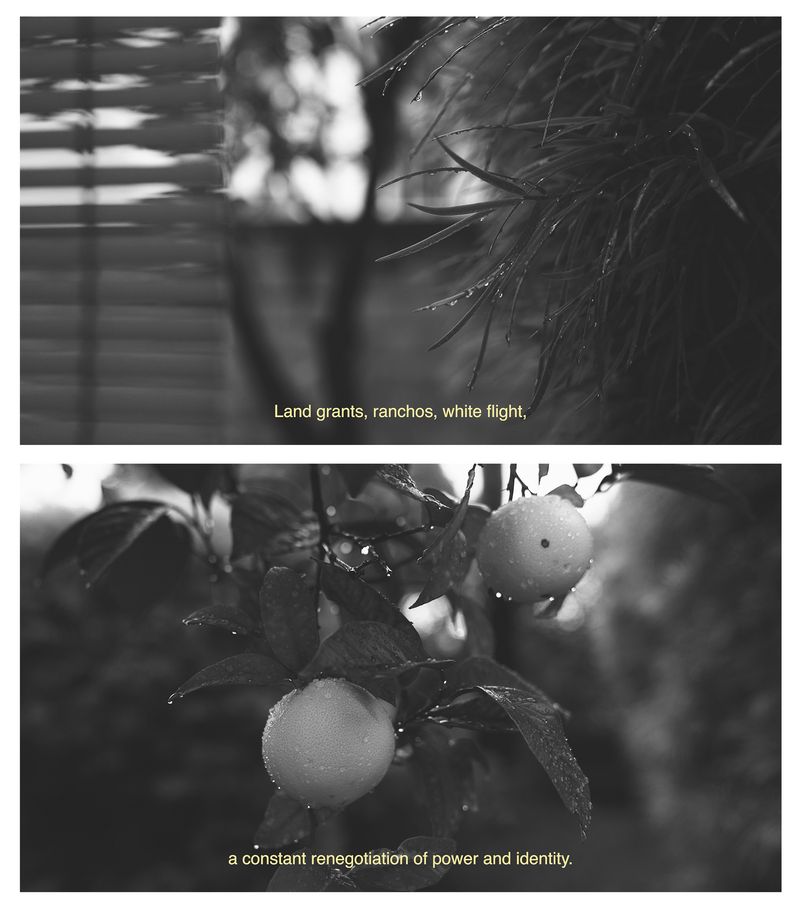 © Lindsay Buchman - Stratagems (Orange County)
