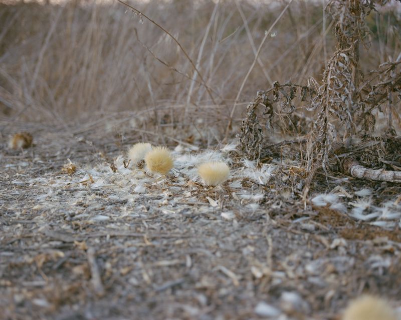 © Lindsay Buchman - Afterimage (no. 4)
