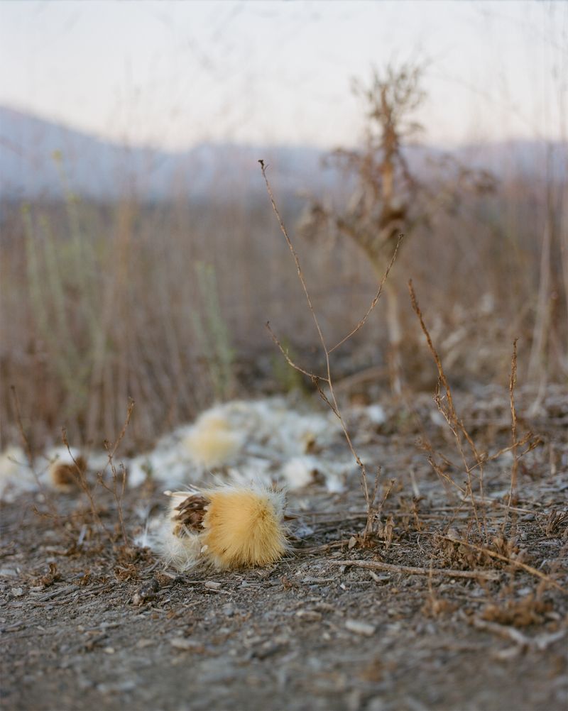 © Lindsay Buchman - Afterimage (no. 2)