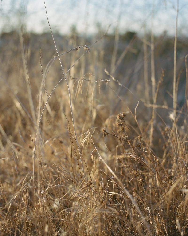 © Lindsay Buchman - Afterimage (no. 3)