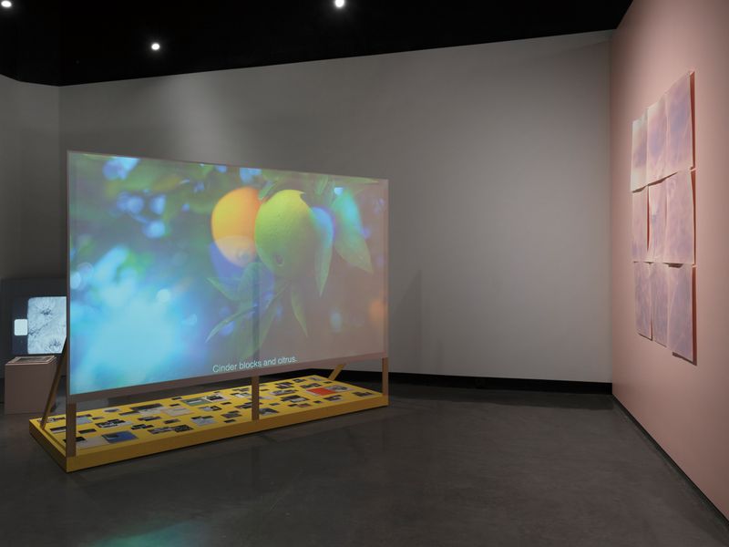 © Lindsay Buchman - (Orange County) & History is Time-Tested