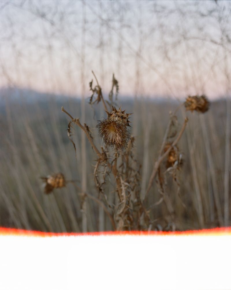 © Lindsay Buchman - Afterimage (no. 5)
