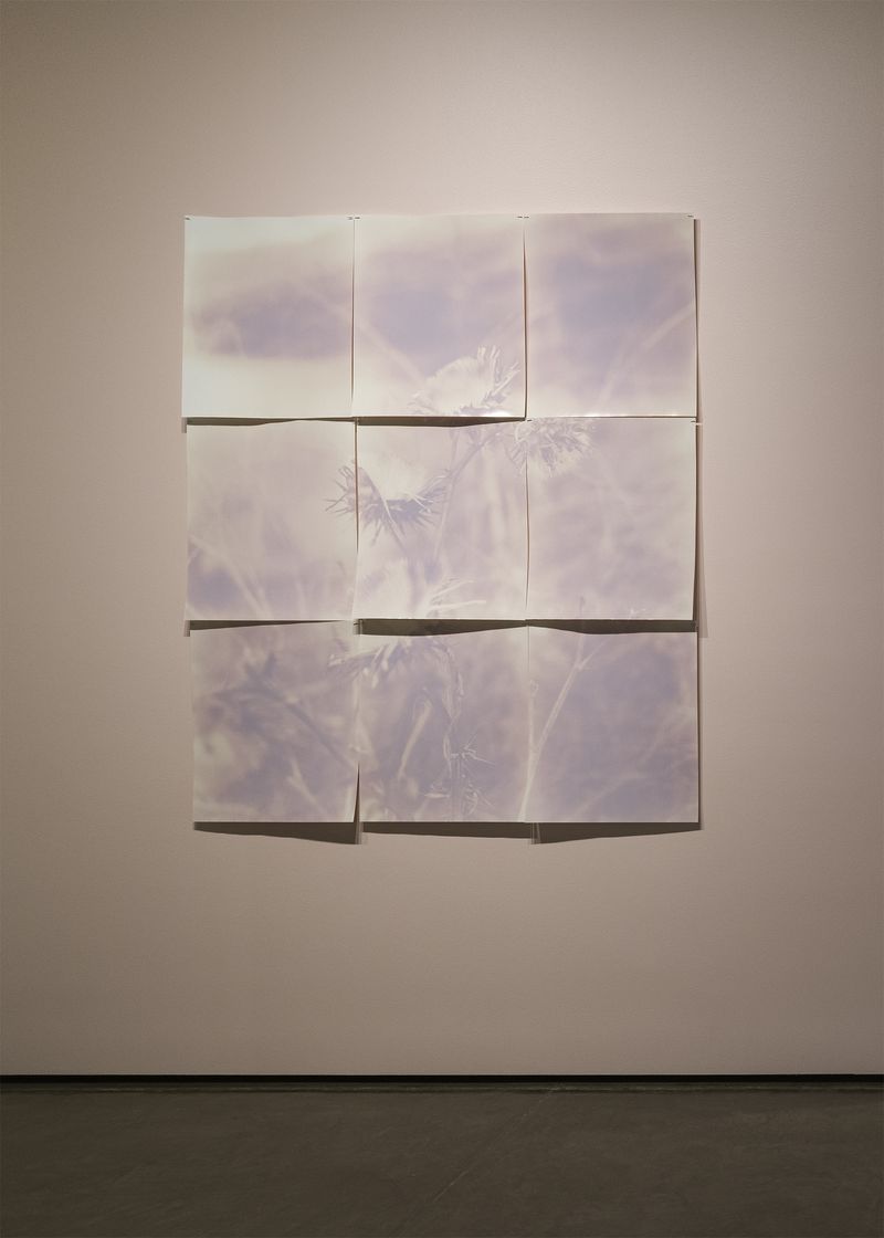© Lindsay Buchman - Todo Everything (sky, plant, ground)