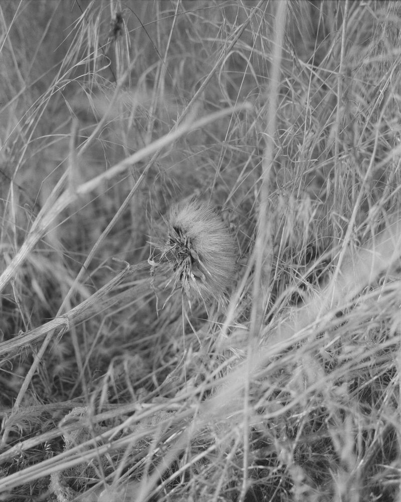 © Lindsay Buchman - Afterimage (no. 1)