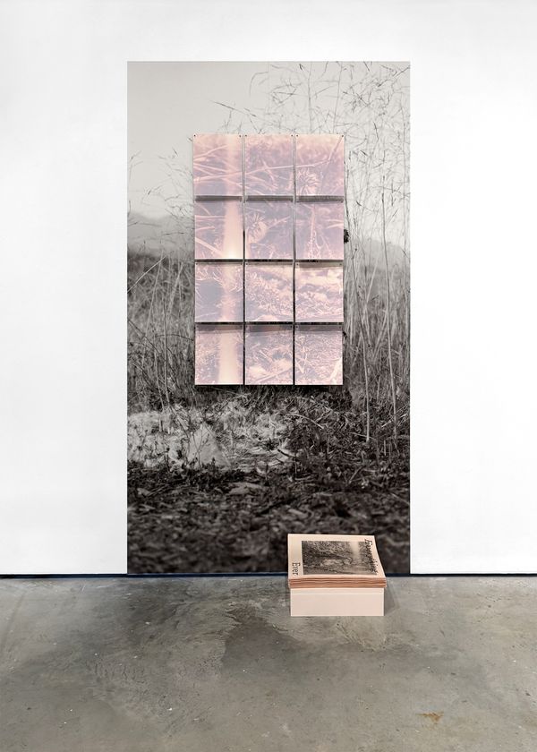 © Lindsay Buchman - Ground (Todo Everything)