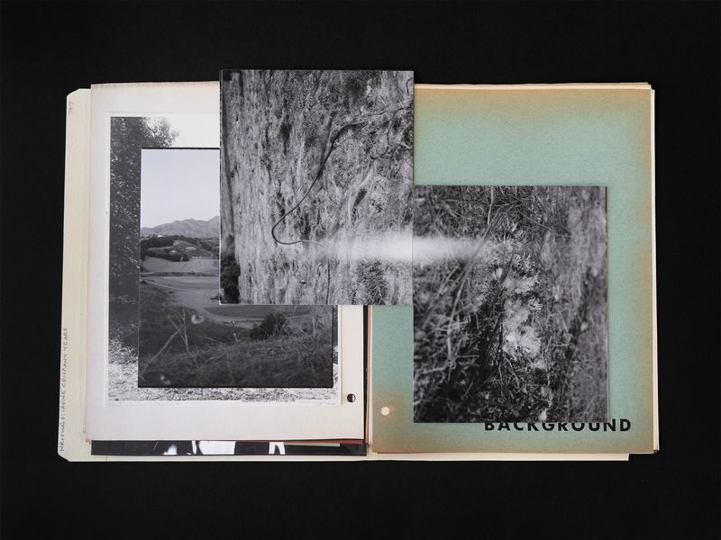 © Lindsay Buchman - Background (Oso/Tijeras/Naranjas)