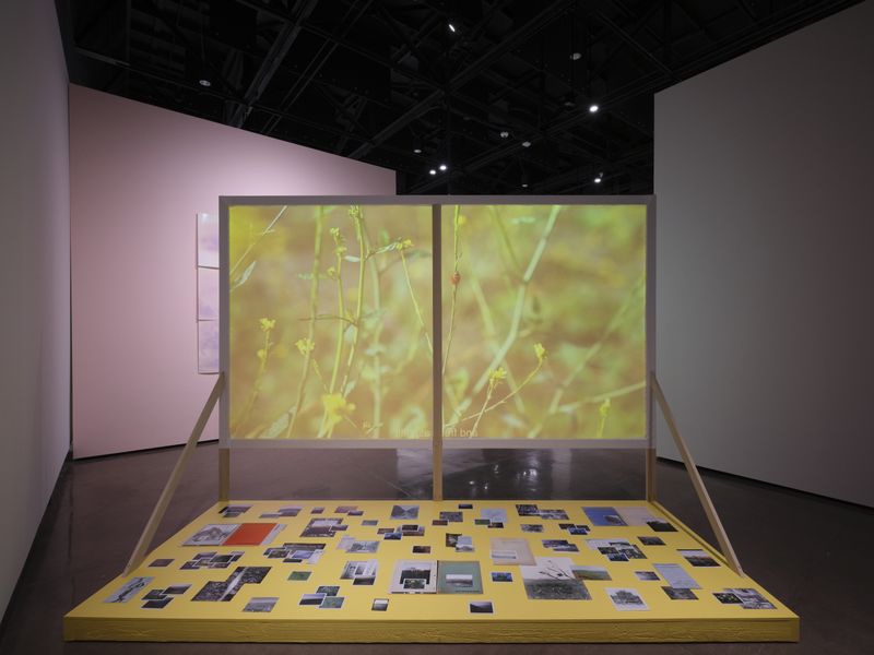 © Lindsay Buchman - Stratagems (Orange County) & History is Time-Tested