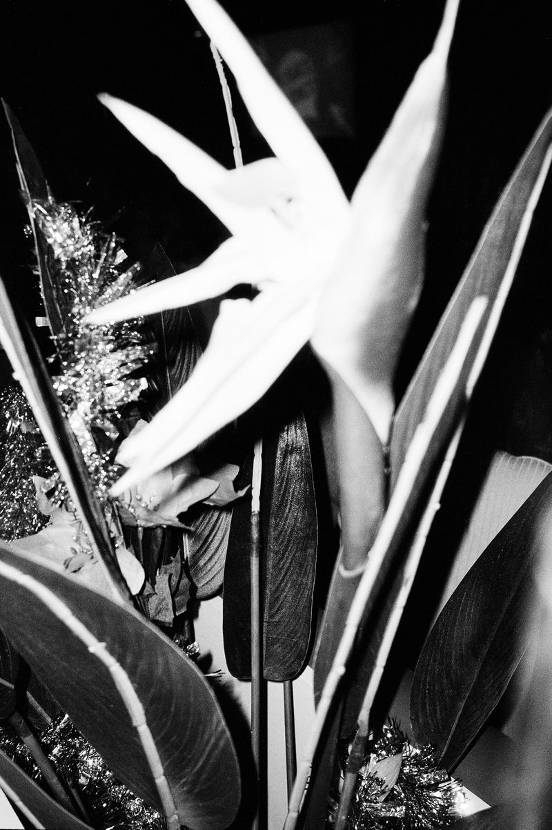 © Yulia Spiridonova - "Russian Trivia", 2023