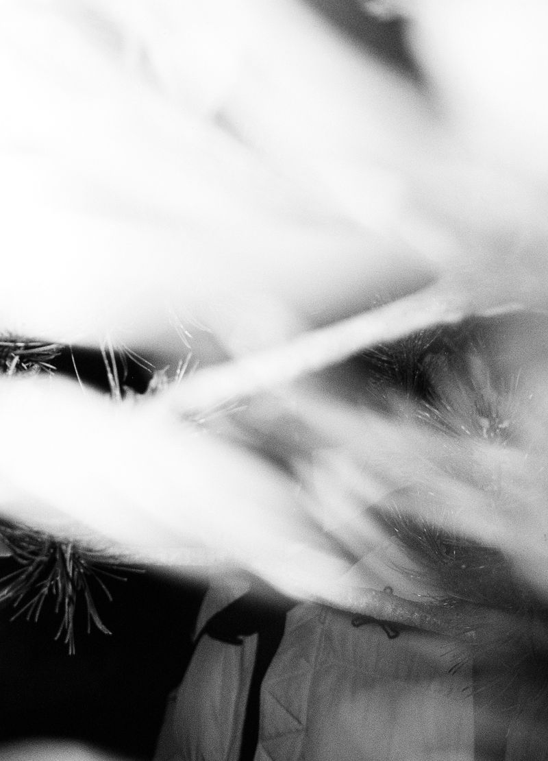 © Yulia Spiridonova - "Wind", 2023