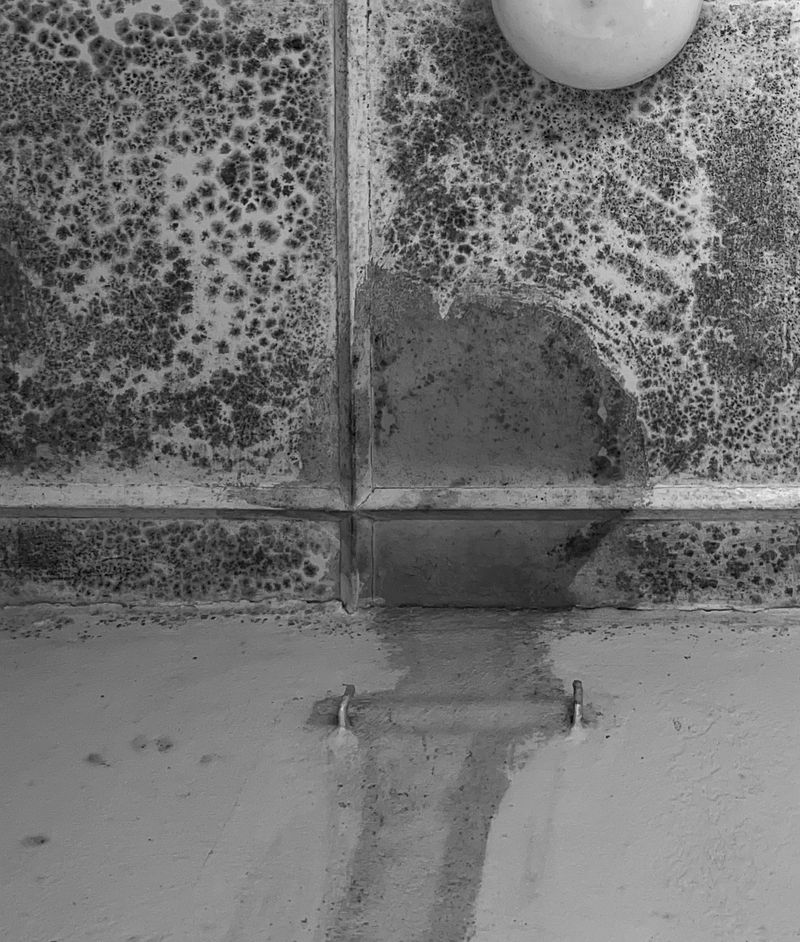 © Kali Tiruneh - Image from the Healing Through the Lens: How Photography Helped Me Process Grief photography project