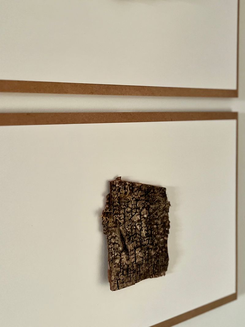 © Kali Tiruneh - Image from the Deconstruction photography project