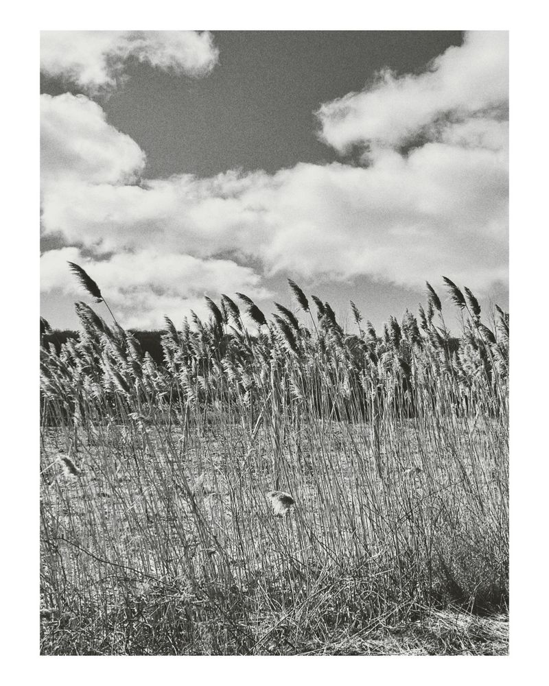 © Kali Tiruneh - Image from the Being, Becoming – Visual Essay on Self-renewal, Creativity & Intuition photography project