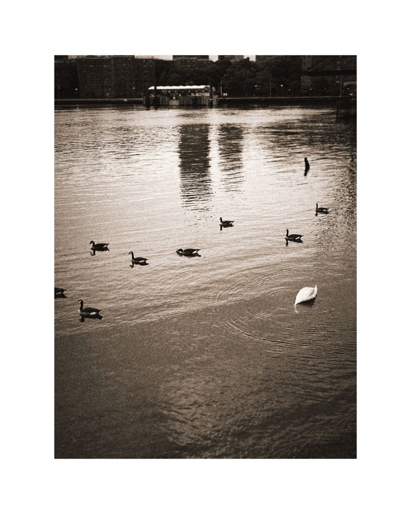 © Kali Tiruneh - Image from the Being, Becoming – Visual Essay on Self-renewal, Creativity & Intuition photography project