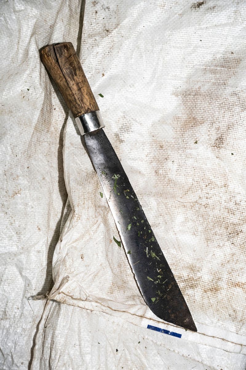 © Arianna Quattropani - Image from the Residual Green photography project