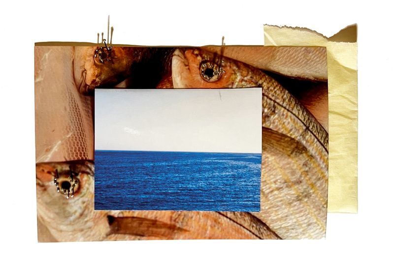 © Arianna Quattropani - 01_Faraway So Close