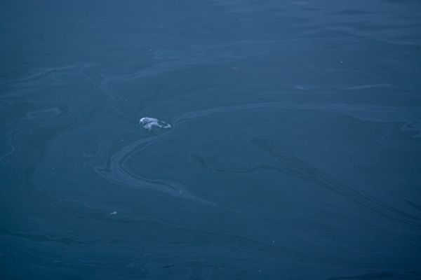 © Arianna Quattropani - Image from the Aremu photography project