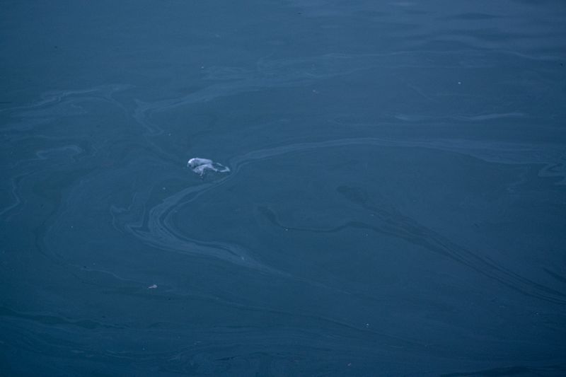 © Arianna Quattropani - Image from the Aremu photography project