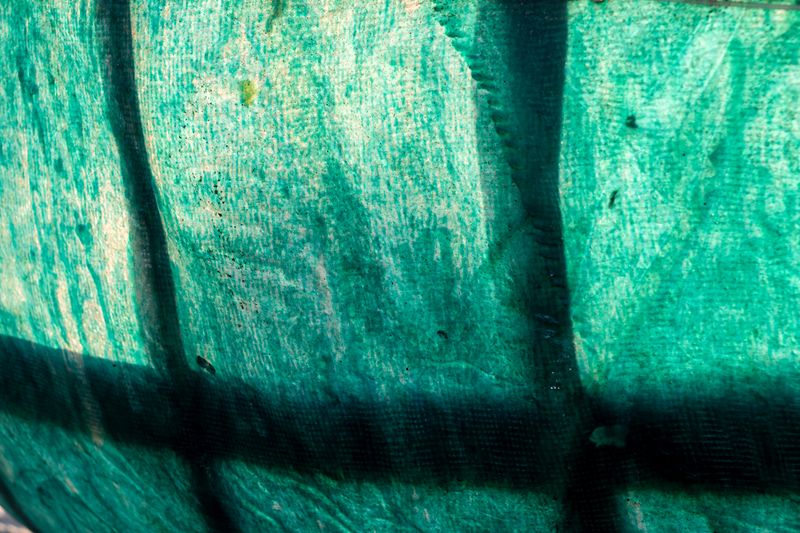 © Arianna Quattropani - Image from the Aremu photography project