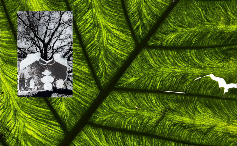 © Arianna Quattropani - Image from the Faraway so Close photography project