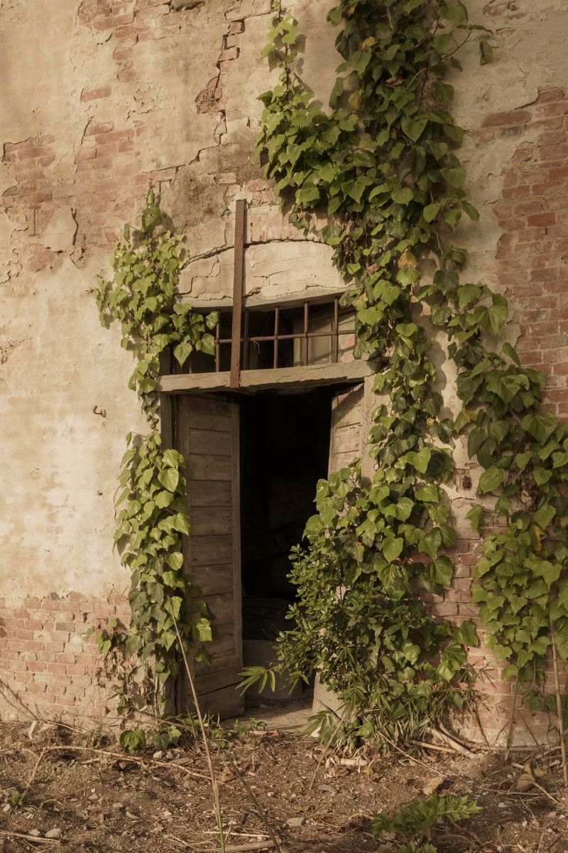 © Asia Canocchi - Image from the Aion (αἰών) photography project