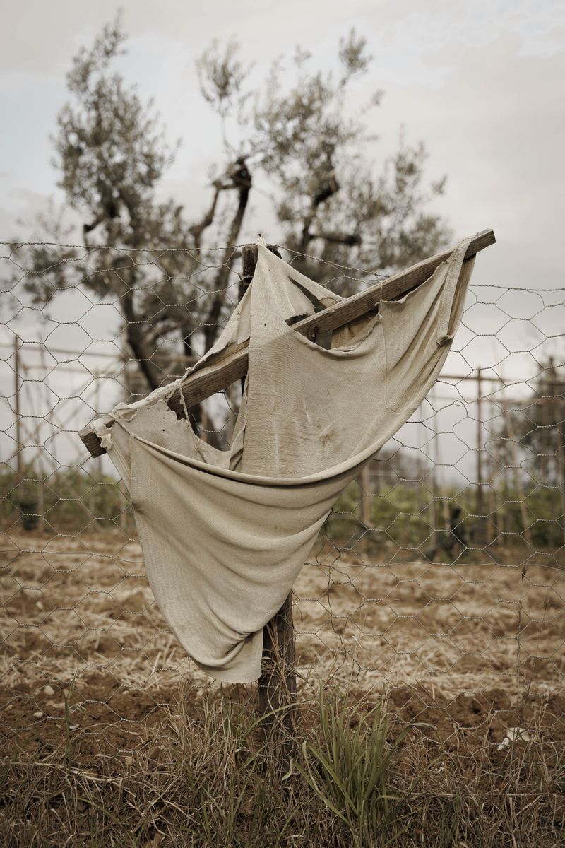 © Asia Canocchi - Image from the Aion (αἰών) photography project